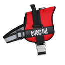 Red Dog Harness