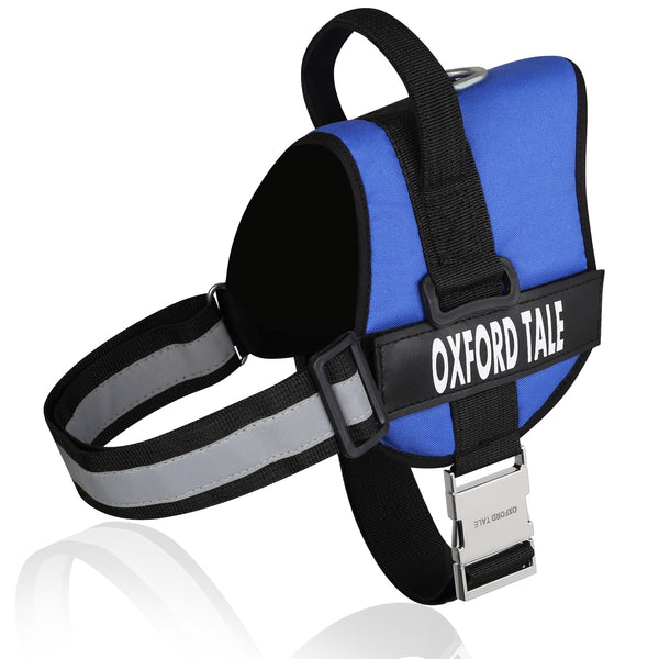 Blue Dog Harness