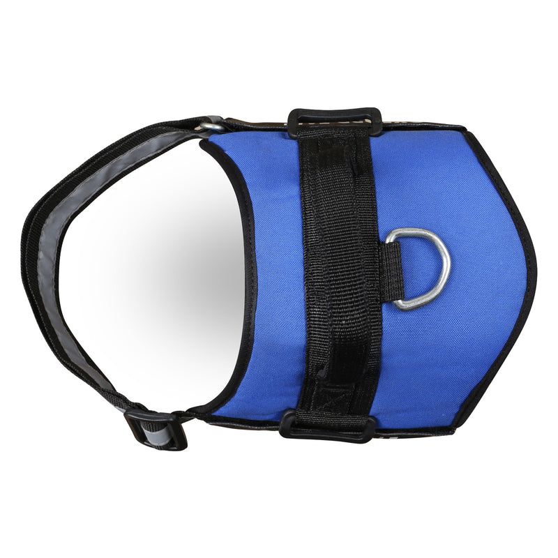 Blue Dog Harness