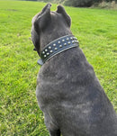 Buffalo Leather - Dog Collar