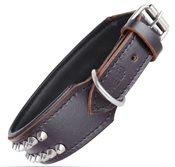Buffalo Leather - Dog Collar