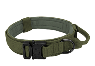 Tactical Dog Collar - Green