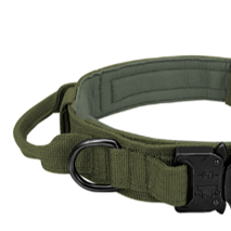 Tactical Dog Collar - Green