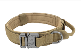 Tactical Dog Collar - Light Green