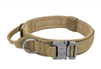 Tactical Dog Collar - Light Green