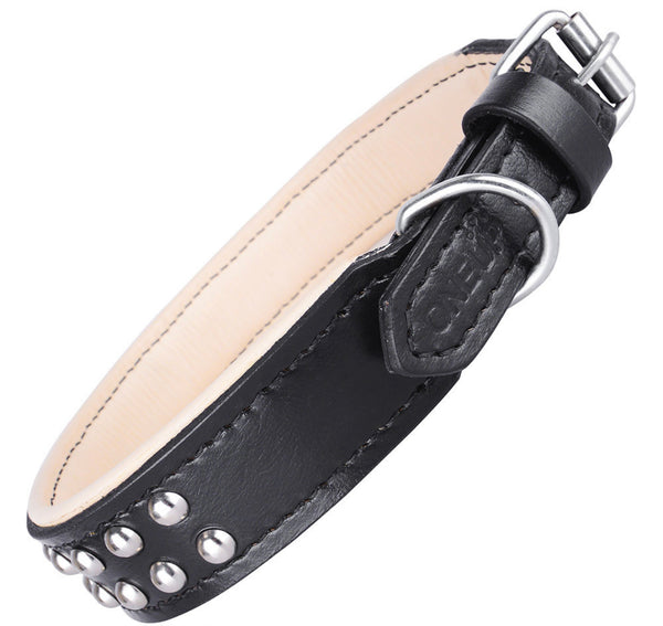 The Round Stud - Dog Collar