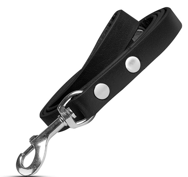 Oxford Tale’s Straight Black Dog Lead